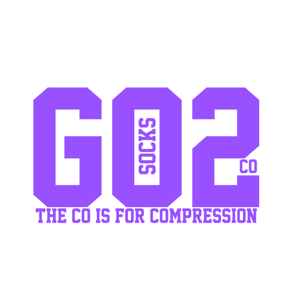 GO2 Socks Co logo
