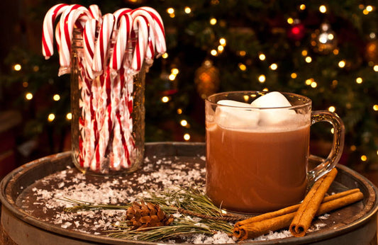 How to Get into The Holiday Spirit | 5 Fun Ways to Enjoy the Holidays