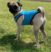 Breathable Cooling Pet Shirt in Pink or Blue
