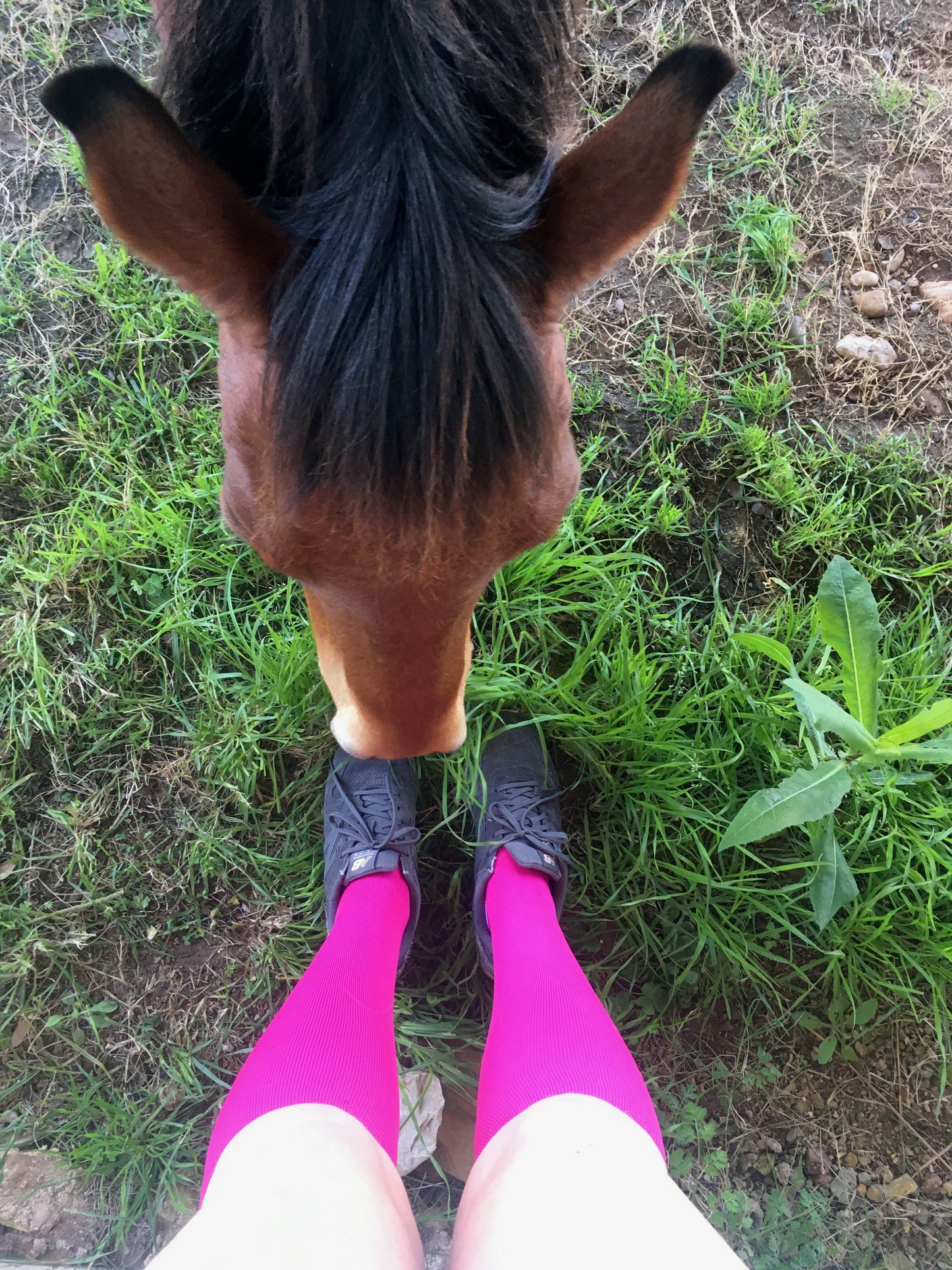 Compression Socks Unisex | Medium Compression | Pink Elite